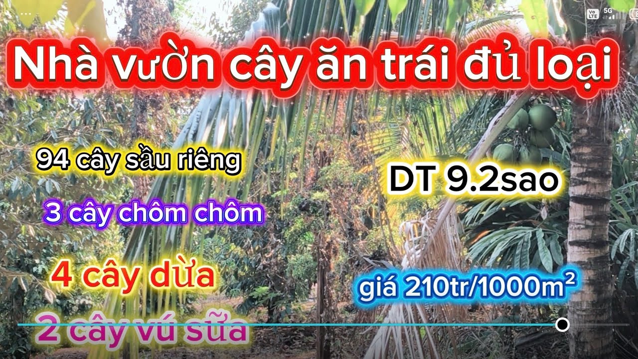 Cô bị bệnh nên chú phải bán mảnh nhà vườn cây trái để trị bệnh DT 9.2 sào giá bán 210tr/sào.