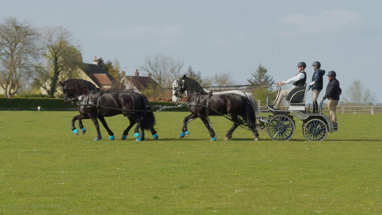 The Devils Horsemen Carriage Driving Team