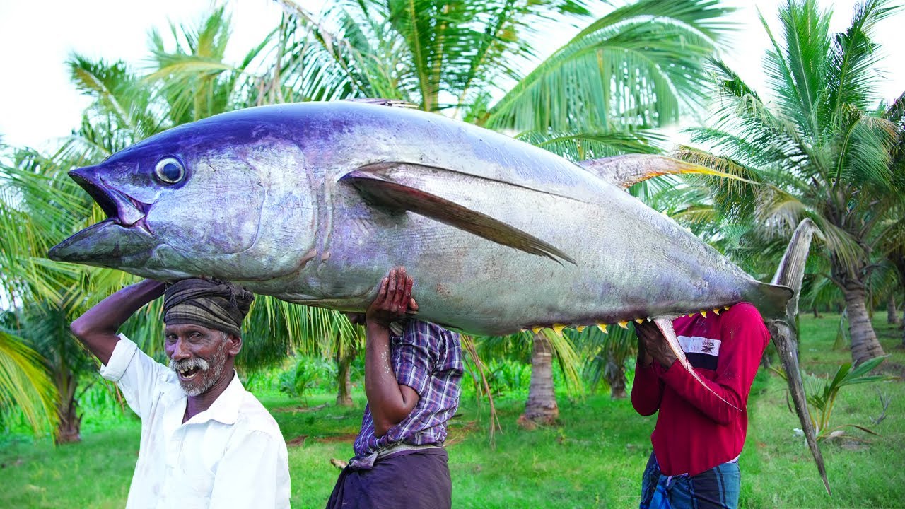 100 KG SEA MONSTER BLUEFIN TUNA FISH RECIPE | CUTTING and COOKING WORLD FAMUS TASTY FISH |Village