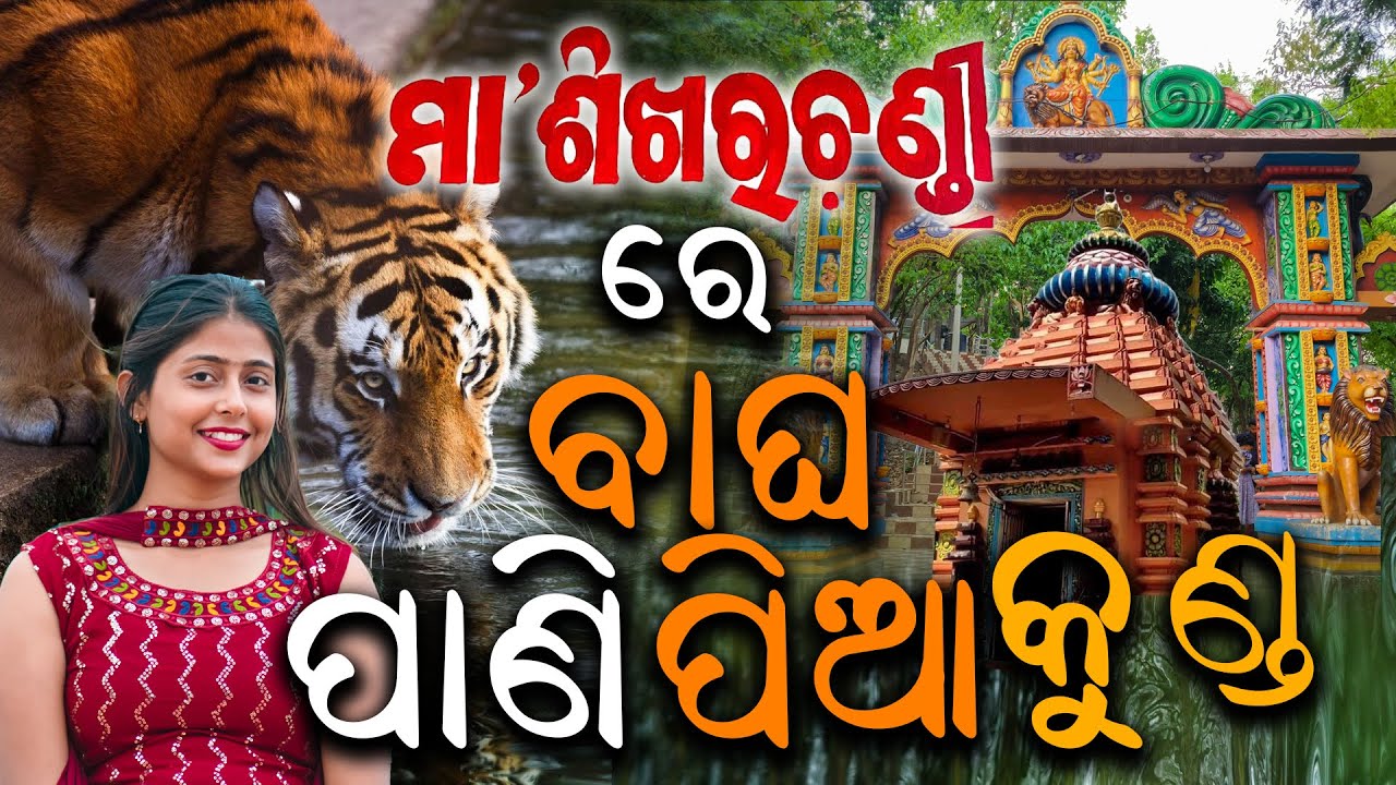 ମା ଶିଖରଚଣ୍ଡୀ ଙ୍କ ମନ୍ଦିରରେ ବାଘ ପାଣି ପିଆ କୁଣ୍ଡ | Sikhar Chandi Temple | Journey with Diptirekha Blog