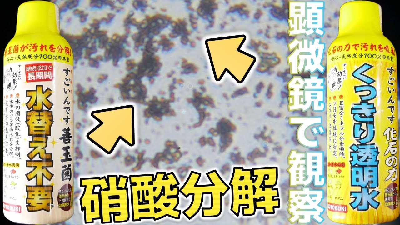 【バクテリア】ついに硝酸塩を分解する液体が新登場！規定量添加で1カ月水換えが不要になります。コトブキ すごいんです善玉菌/化石の力【ふぶきテトラ】