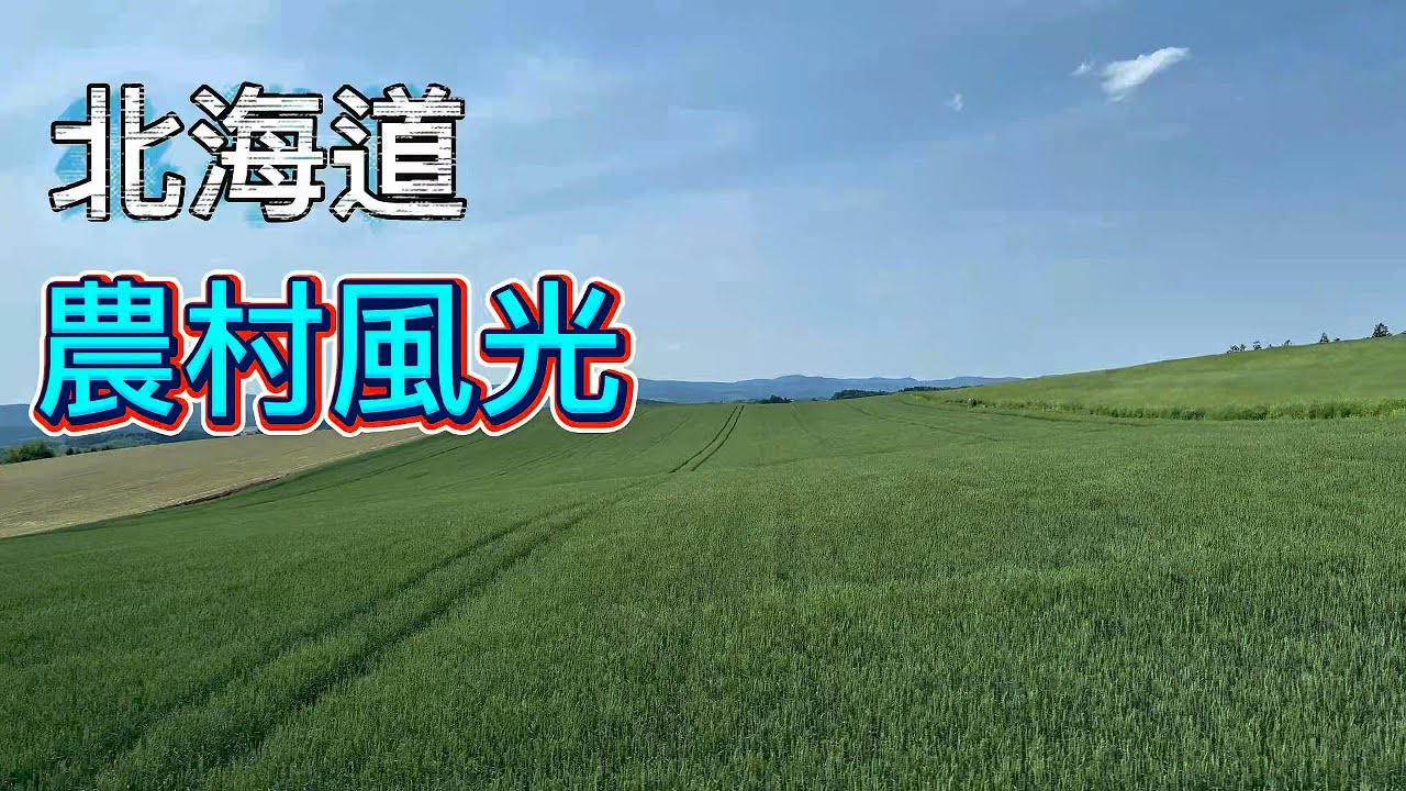 北海道農村風光 [4K]--一望無際的稻田，沒有工廠汙染，花農的農舍蓋得很漂亮
