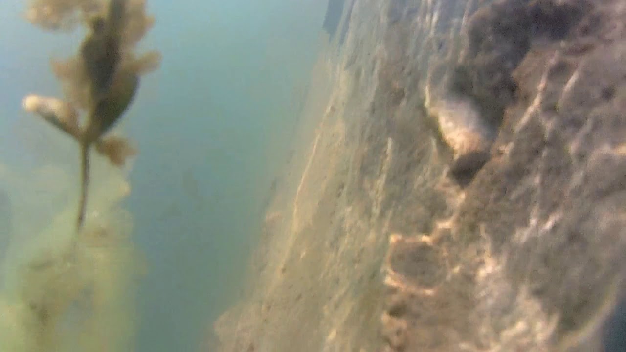 Dropping Action Camera in Dam water 5 times😕😑