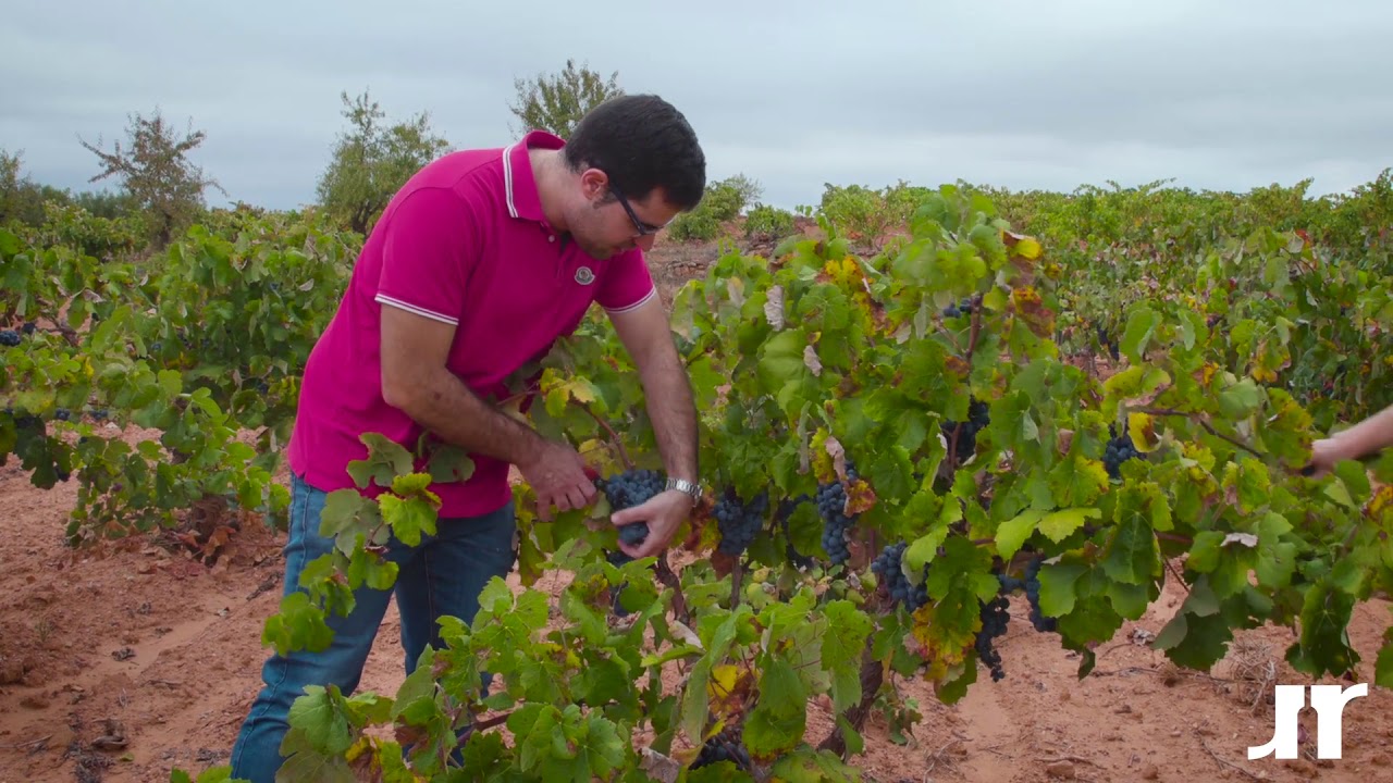 Utiel: vino, paisaje, cultura y un tesoro subterr&aacute;neo escondido