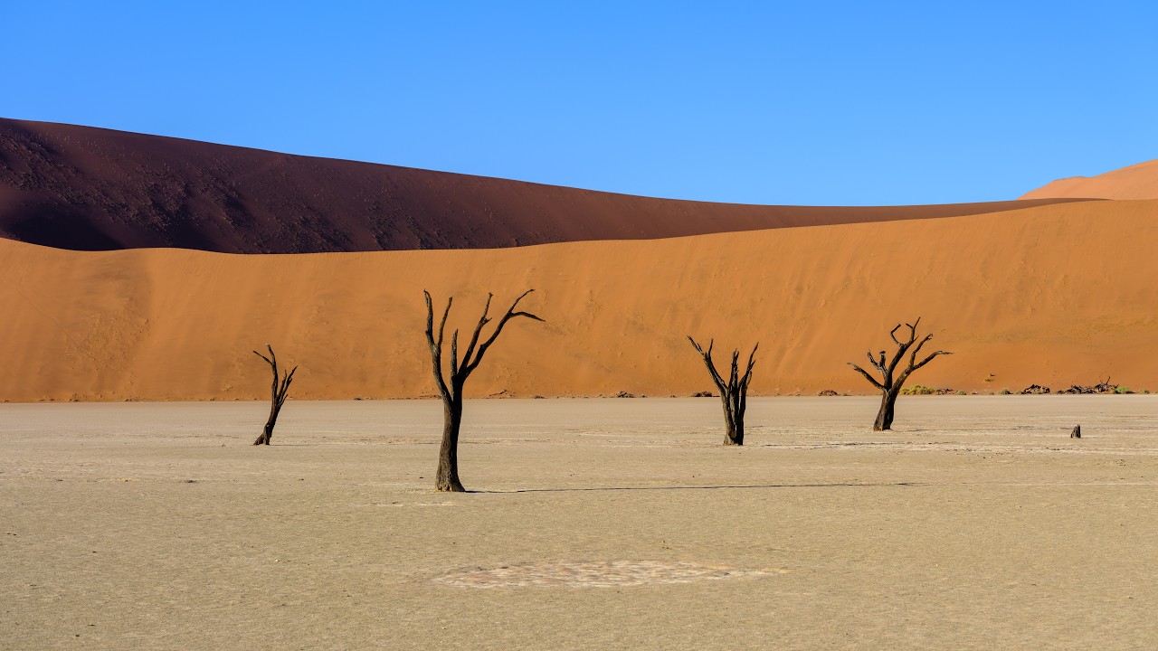 My Photography Trip to Namibia