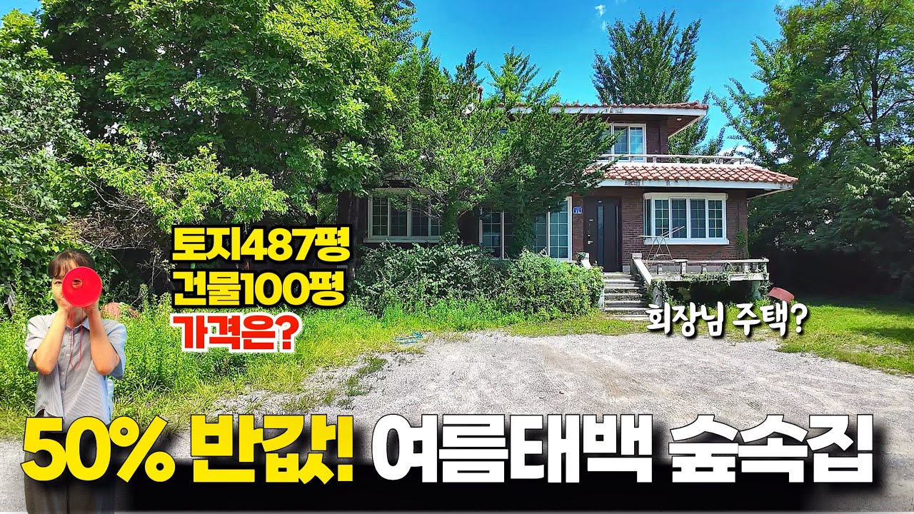 [태백경매] 태백 숲속 단독주택, 반값 매물 공개! (487평 토지 포함)