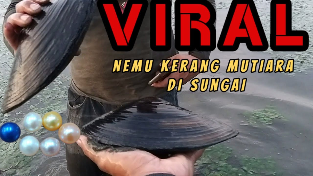 REJEKI NOMPLOKK..niatnya nyari ikan malah nemu kerang mutiara dapat banyak || bersama gage go chanel