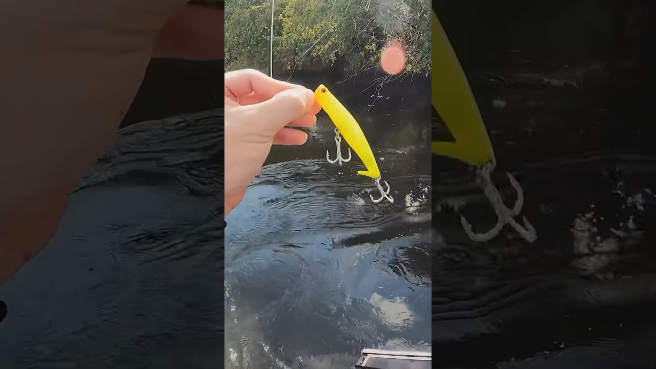 Sempre que poss&iacute;vel fa&ccedil;a esse trabalho com a isca artificial!!