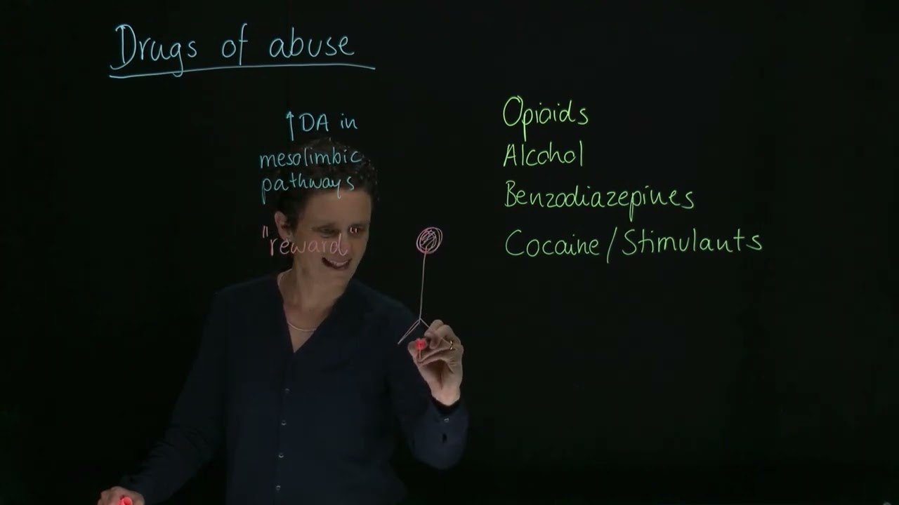 Brandl's Basics: Pharmacology of drugs of abuse (1/5): Introduction
