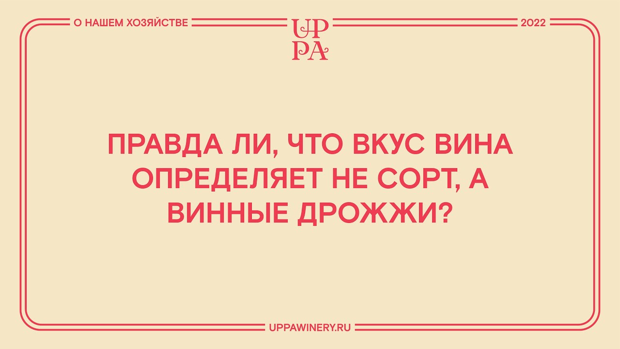 Правда ли, что вкус вина определяет не сорт, а винные дрожжи?
