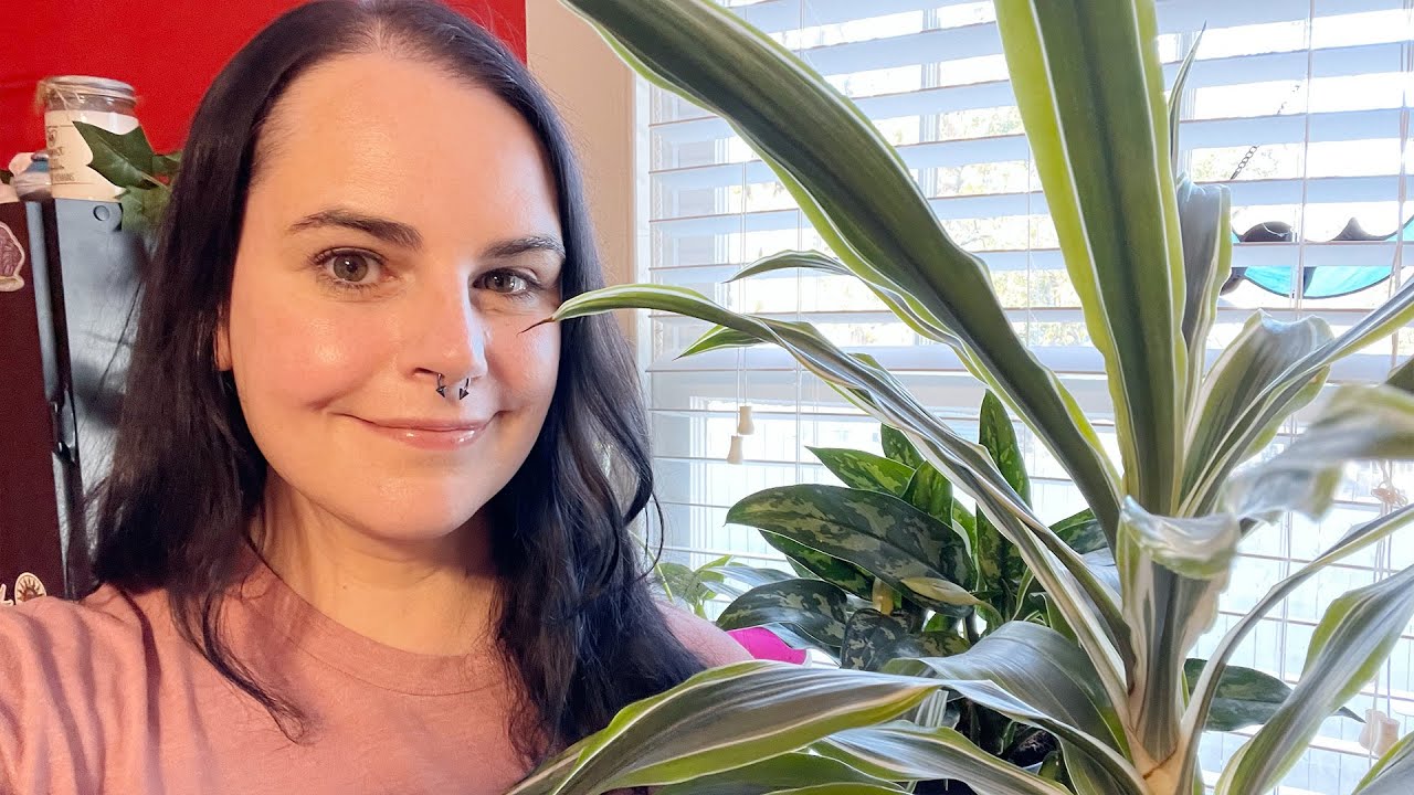 gardening lesson with Ted (he knows his stuff) + houseplant care and tour ~ daily vlog