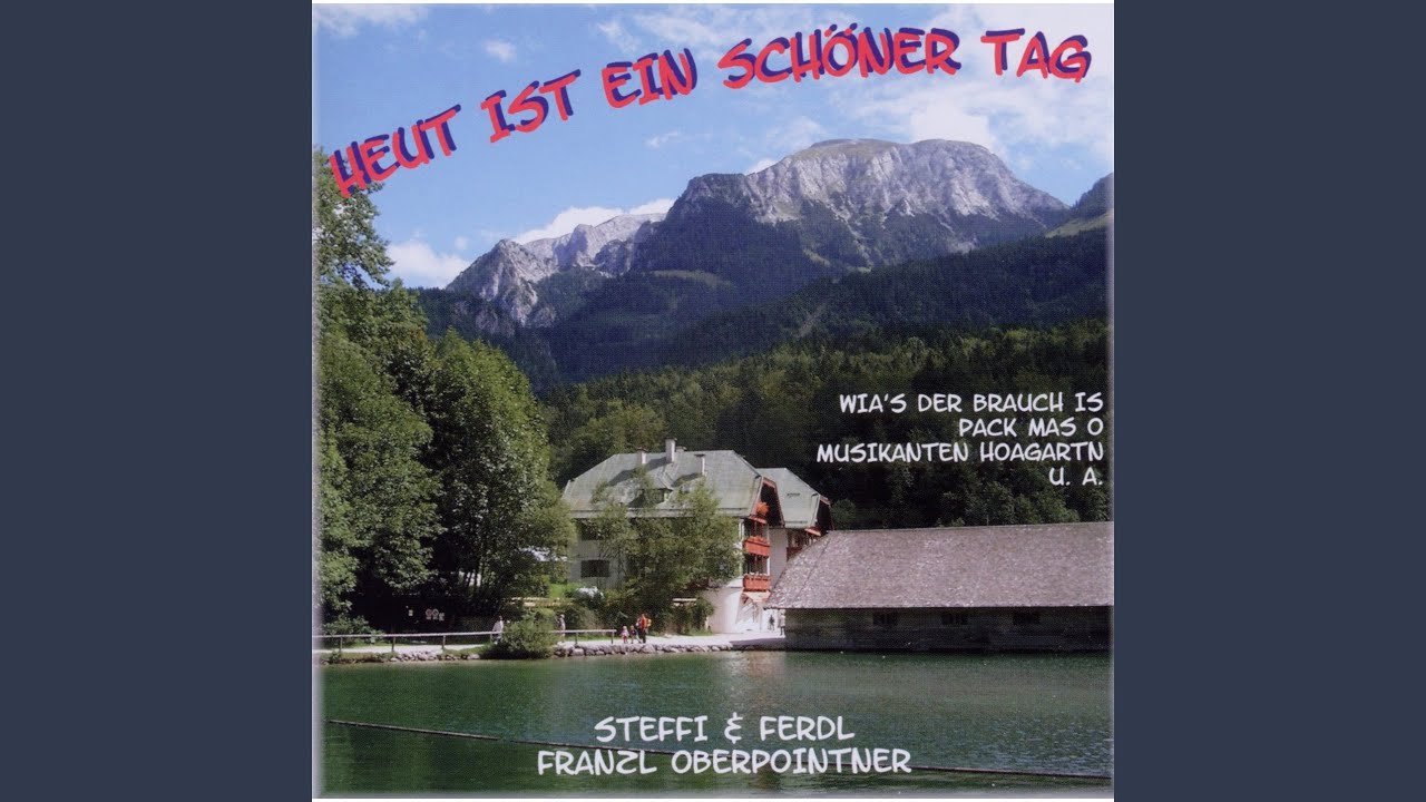 Musikanten Hoagartn