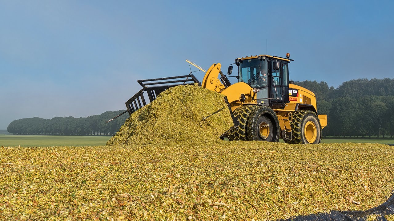 Mais silage in de mist door loonbedrijf Visch BV / New Holland + Fendt + JD / Mais hakselen 2021