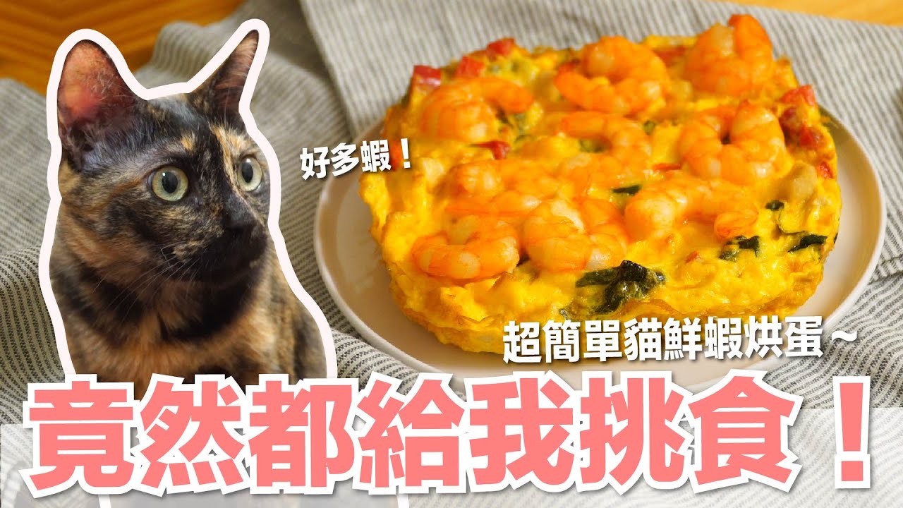 【好味小姐】竟然都給我挑食！超簡單貓鮮蝦烘蛋｜貓副食｜貓鮮食廚房EP196 ft.飛利浦氣炸鍋