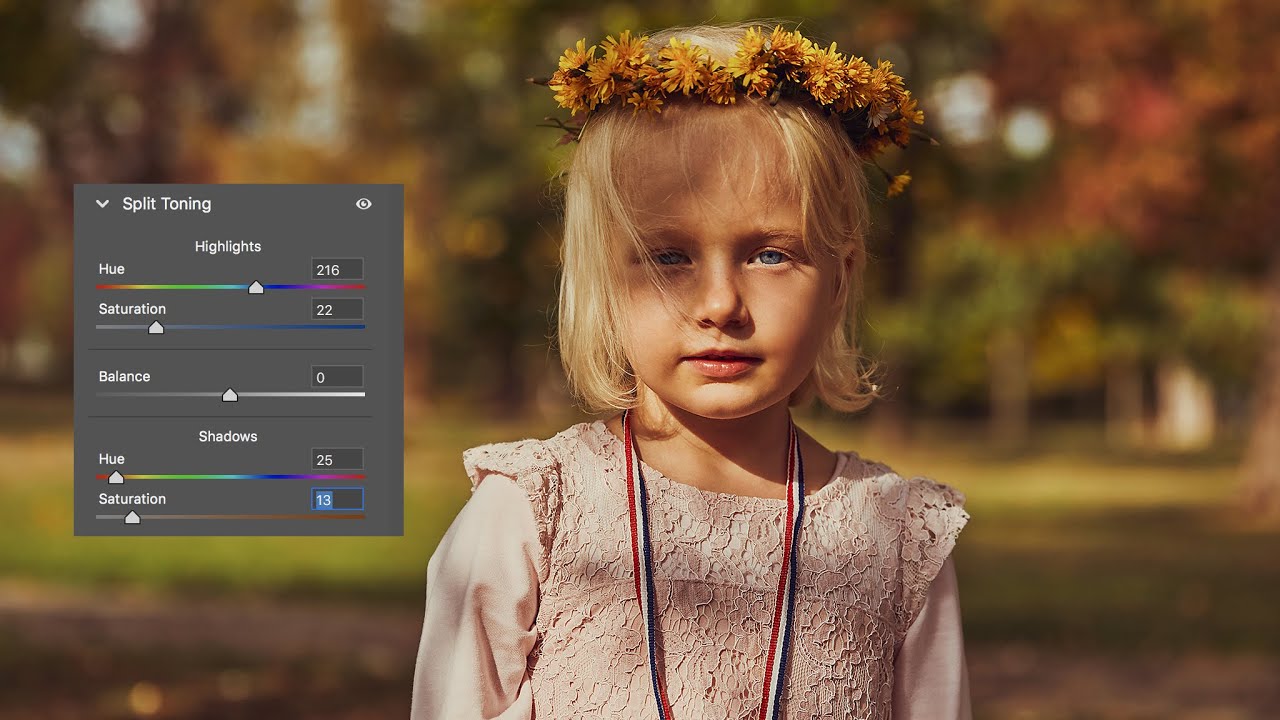 Split Toning Panel in  Camera Raw