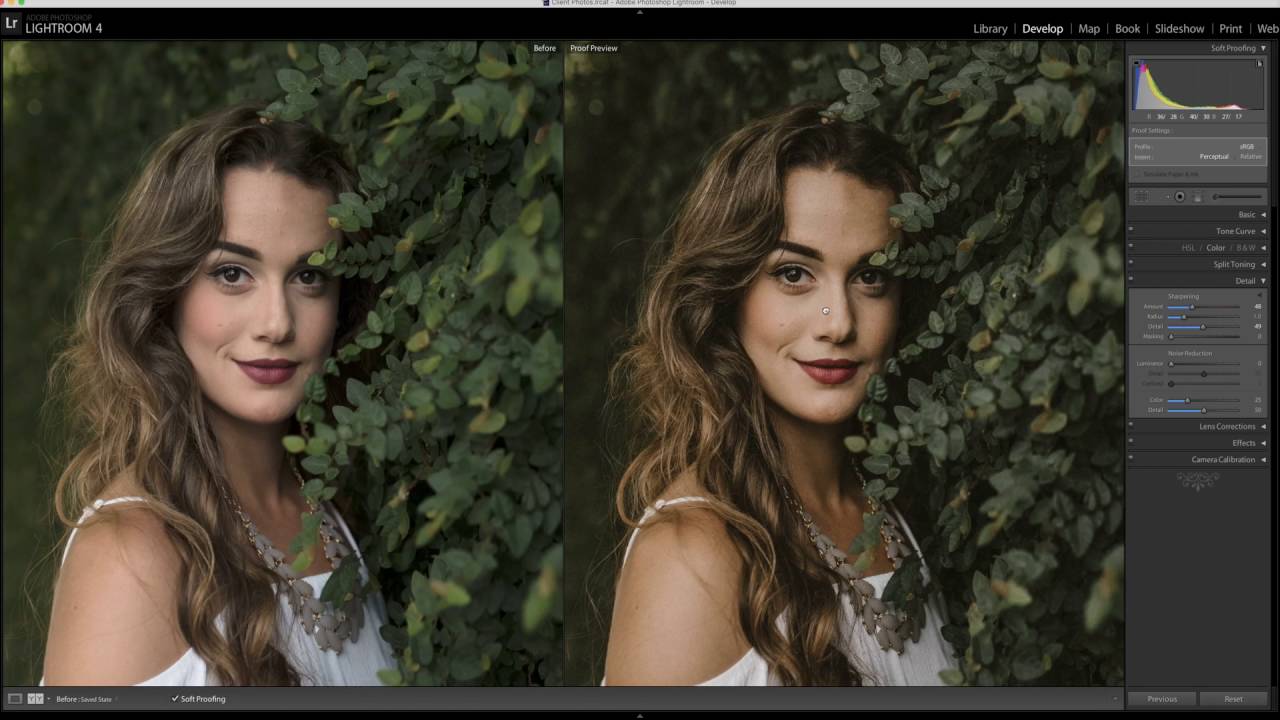 Lightroom Sharpening & Exporting for Web