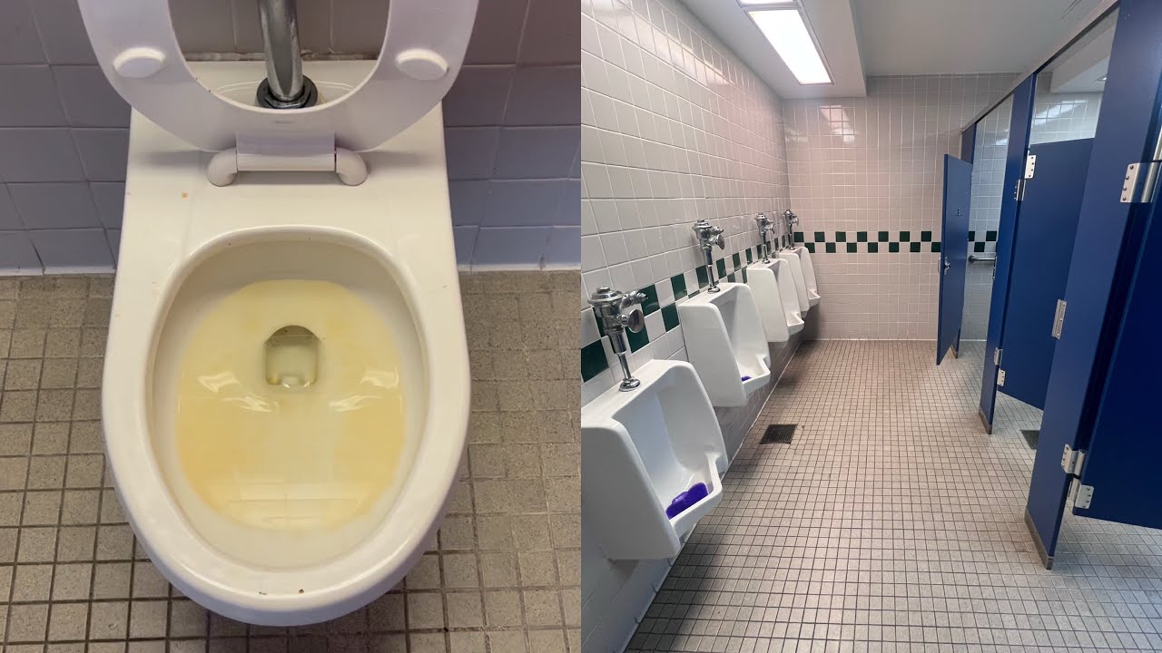 “State” Park Restrooms with Different 1990s AS Afwall Toilets