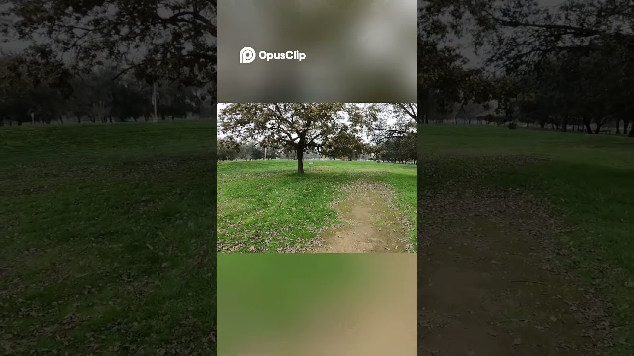 Epic Disc Golf Shots  Course Views & Gameplay Highlights! 