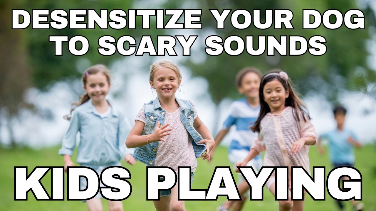 Dog Desensitization Sounds for Dogs & Puppies: Children Playing