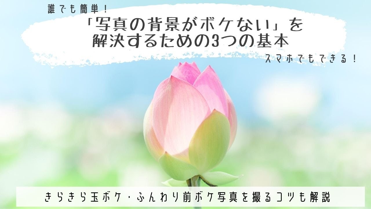 「写真の背景がボケない」を解決する3つの基本【玉ボケ・前ボケ撮影のコツ】