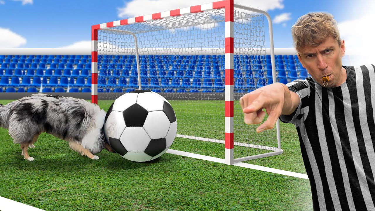 IL MIO CANE IMPARA GIOCARE A CALCIO