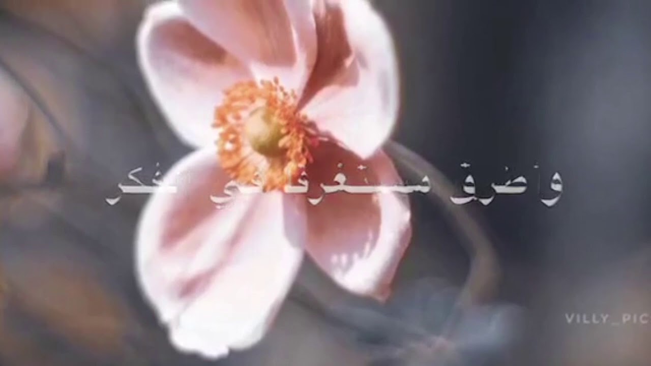 قصيدة (أغنية  ريفية )