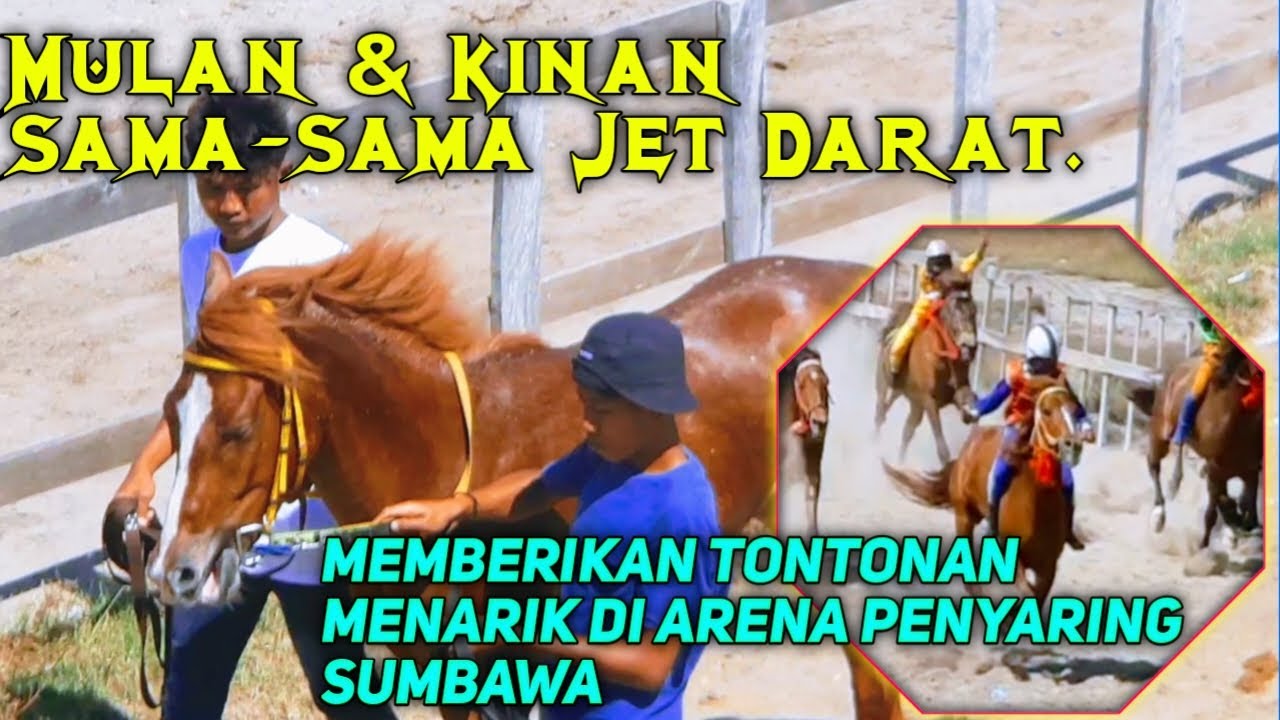 Mulan & Kinan Similar to Land Jets// Sumbawa NTB 2022 horse race