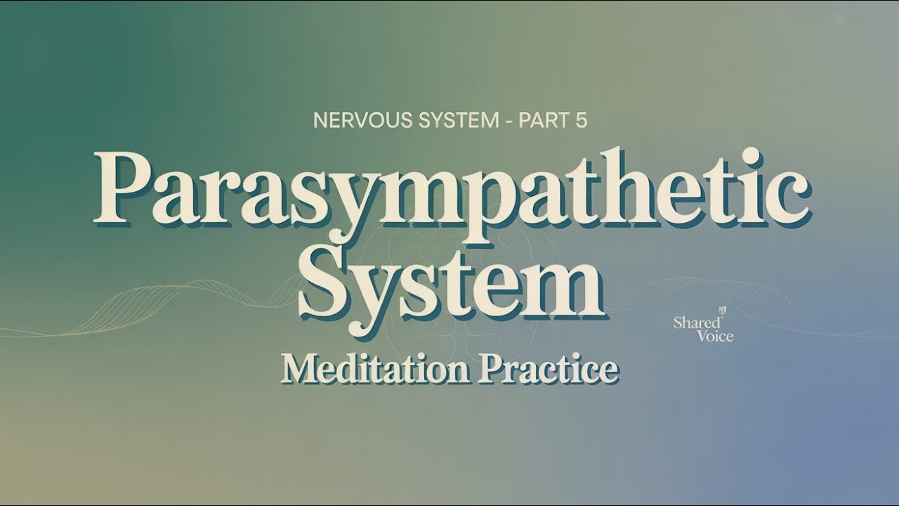 Overview of the Nervous System part 5 | Parasympathetic System & Meditation Practice