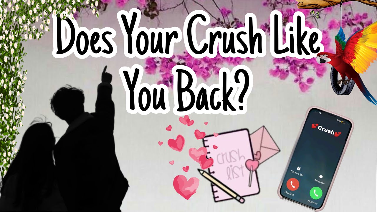 តើ Crush របស់អ្នកចូលចិត្តអ្នកវិញទេ?