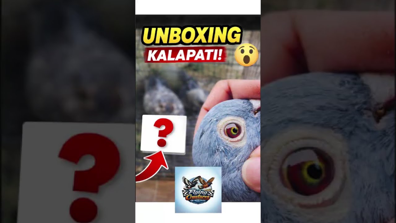 Unboxing