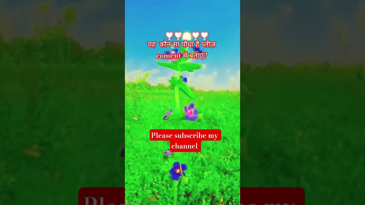 #music #song #hindisong #bollywood #farming #motivation #onthisday #love #khetibadi_newstatus #viral