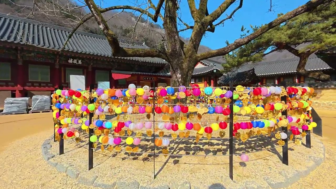 장성 백양사 자전거 산책