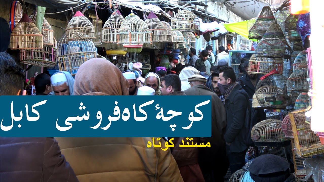 a documentary about Kochae Kah froshi Kabul/کوچه کاه فروشی | دیدنی های کوچه تاریخی کاه فروشی