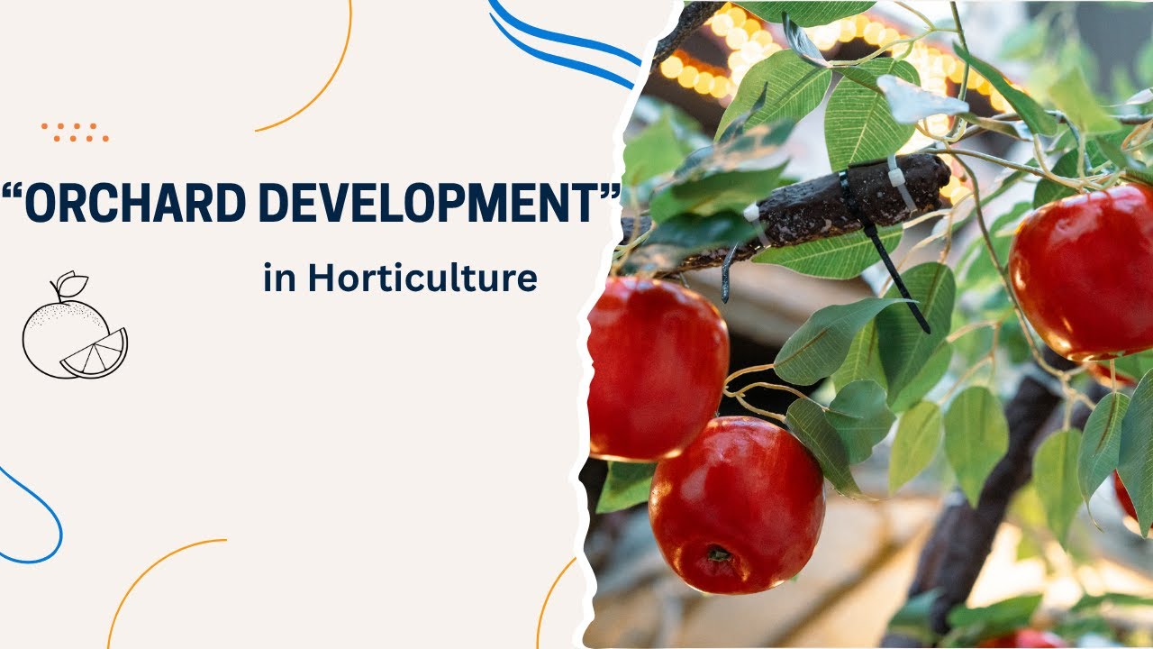 Planning & Development of Orchards | Horticulture Lecture