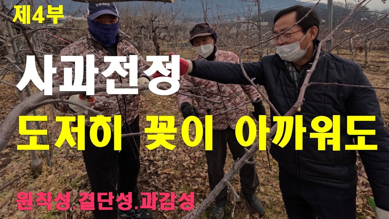 [사과전정 제4부] 도저히 꽃 때문에 마음 흔들리다.