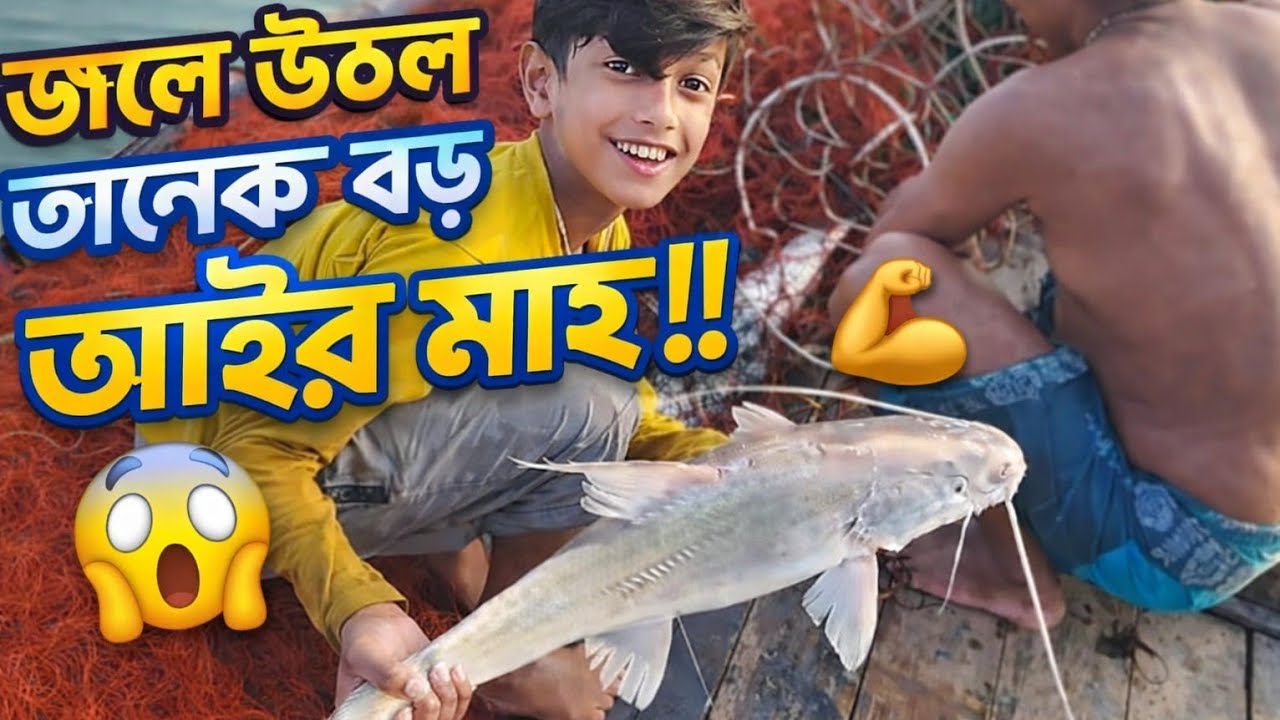 নদীতে জেলেদের জালে ধরা পড়লো বিশাল মাছ! Amazing Fish Catching in the River