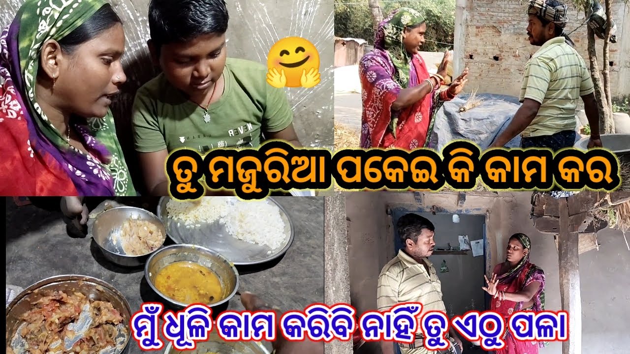 ମୁଁ କାହିଁକି କହିବି କାମ କରି ବା ପାଇଁ//subhadra odia vlog//odia vlog 