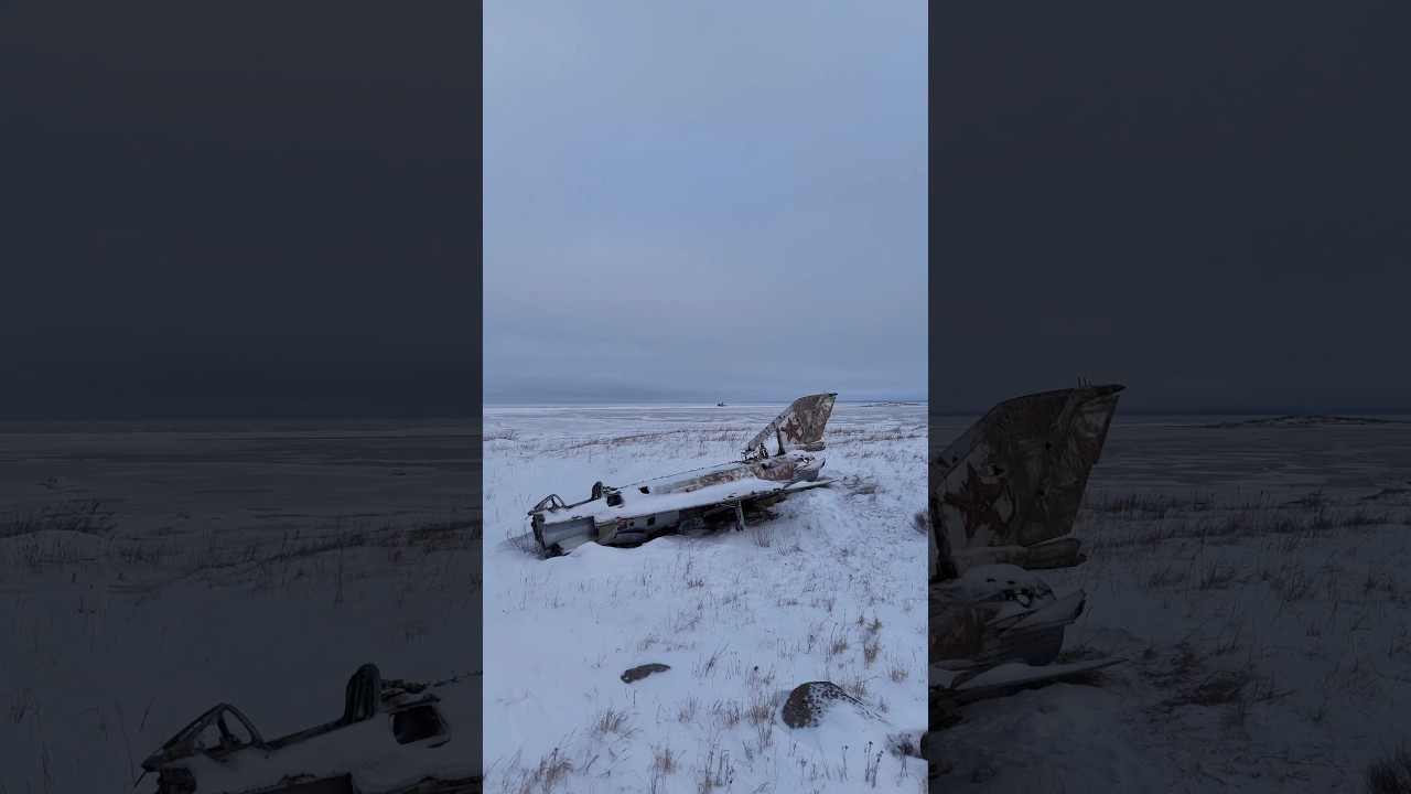 59.805250, 28.086841 тгк COLD COAST