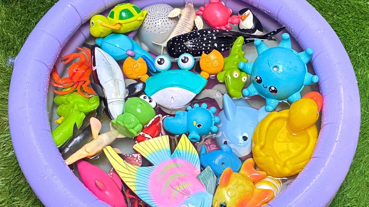 Ocean Animals For Kids🐬🦀| Learn Sea Animals Names, Facts & Educational Toys For Toddlers