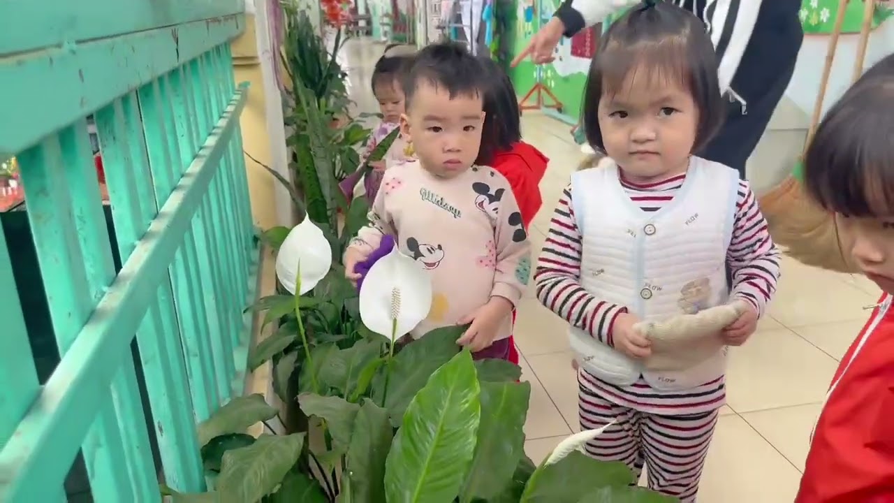 Vườn rau hoa mùa xuân trường mầm non Bắc Sơn
