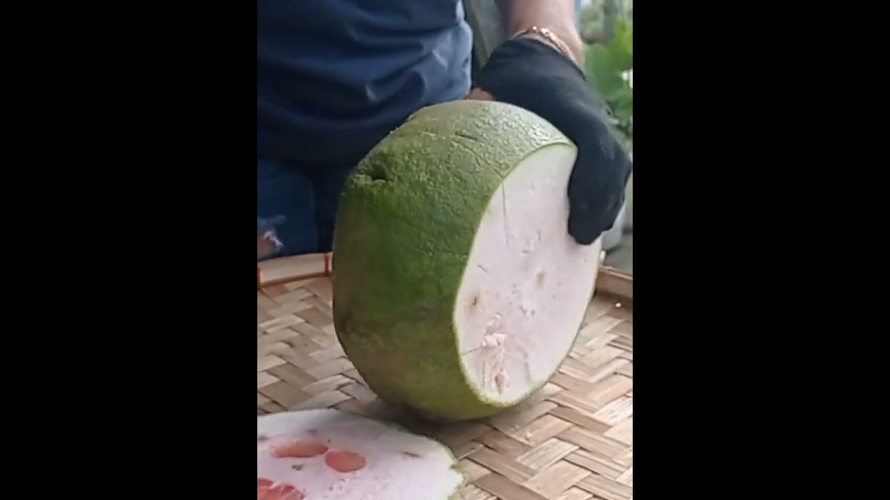SUHA MABISANG GAMOT SA ALMORANAS #halamanggamot