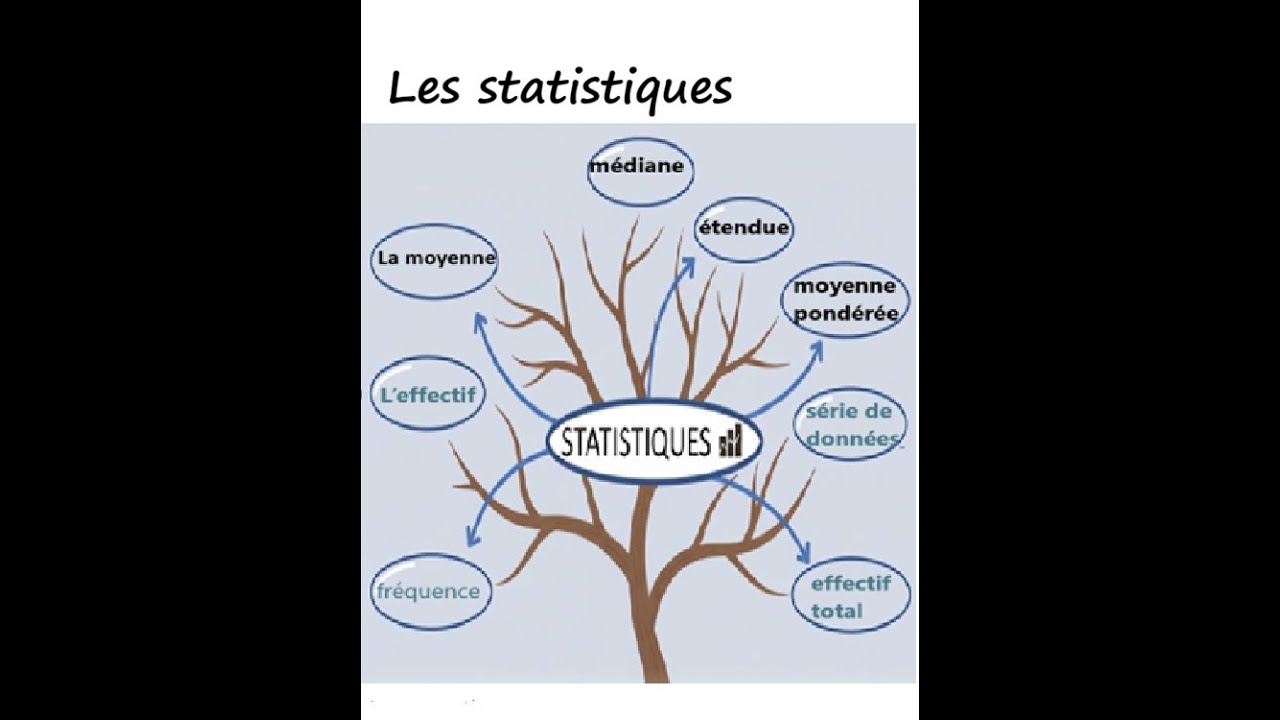 N°25 : Les statistiques Niv 3ème