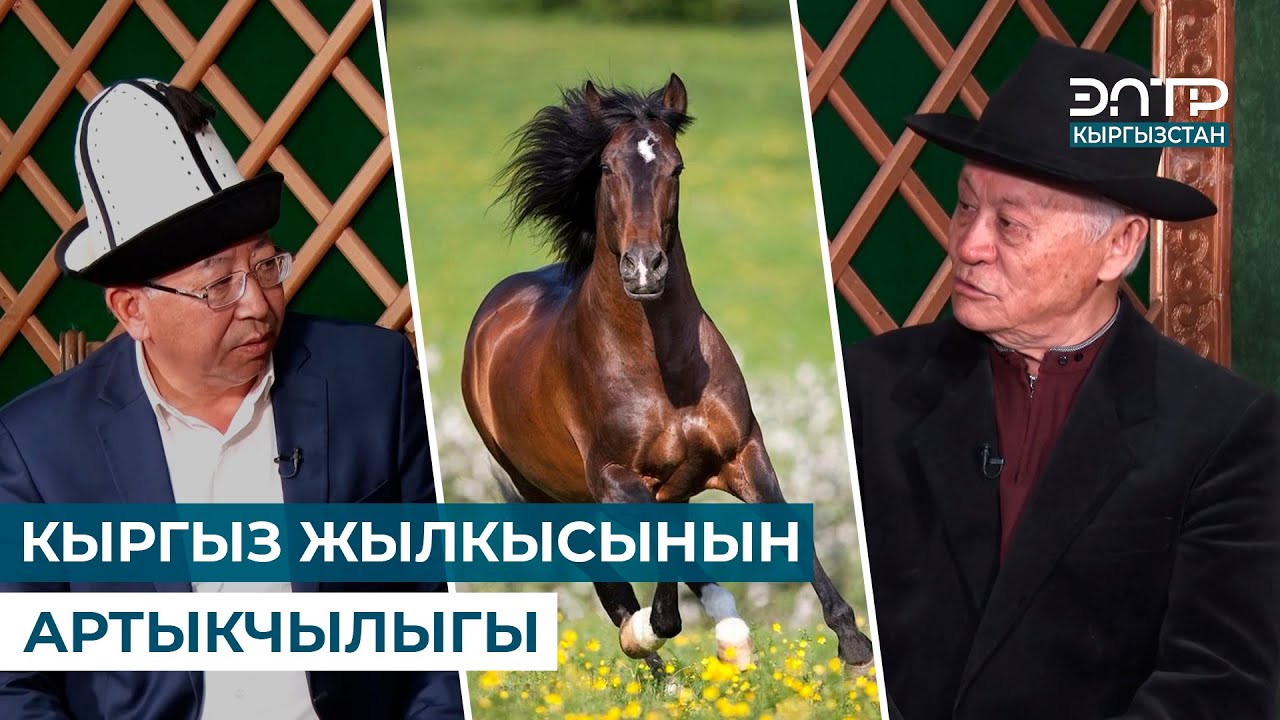 КЫРГЫЗ ЖЫЛКЫСЫНЫН АРТЫКЧЫЛЫГЫ // МУРАС САБАТЫ