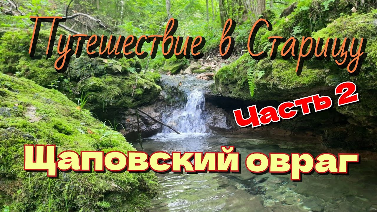 Окаменелости Тверской области. Щаповский овраг. Путешествие в Старицу.