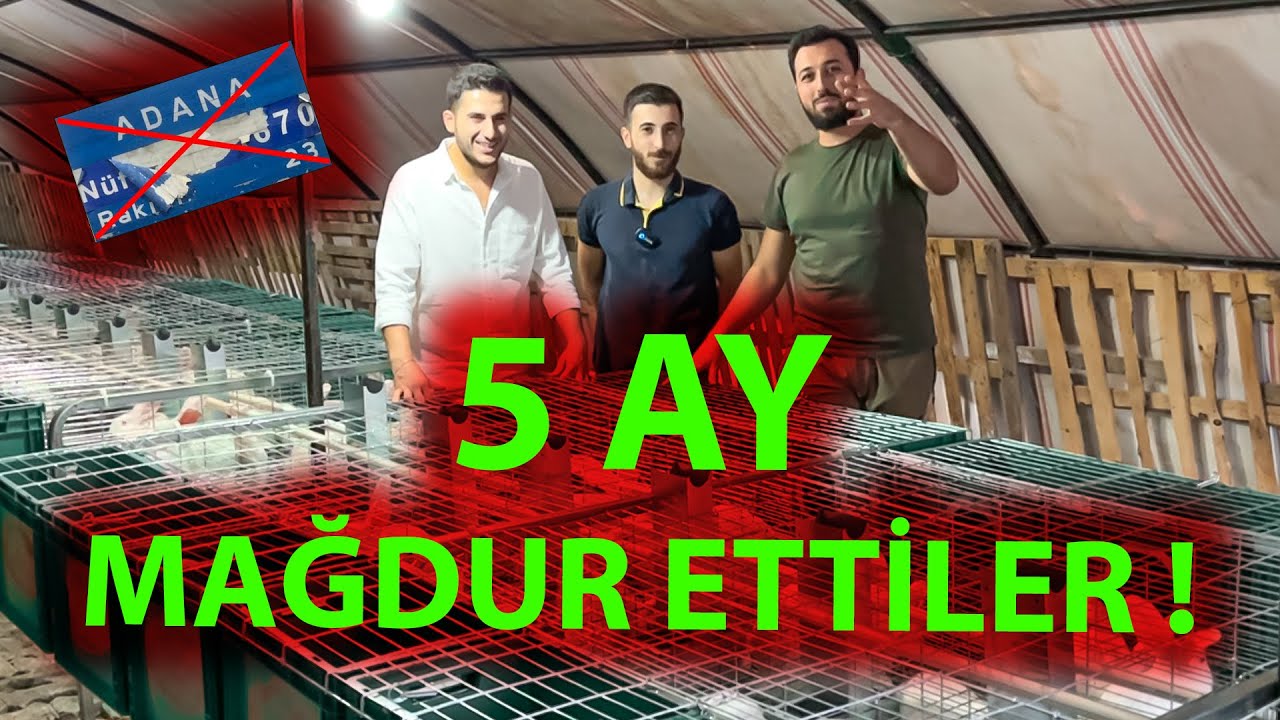 İSTANBUL ÜRETİCİMİZ İLE SOHBET | ESKİ KAFESLERİNİ DEĞİŞTİRDİK | 5 TAVŞANDAN KOCA BİR SÜRÜYE !