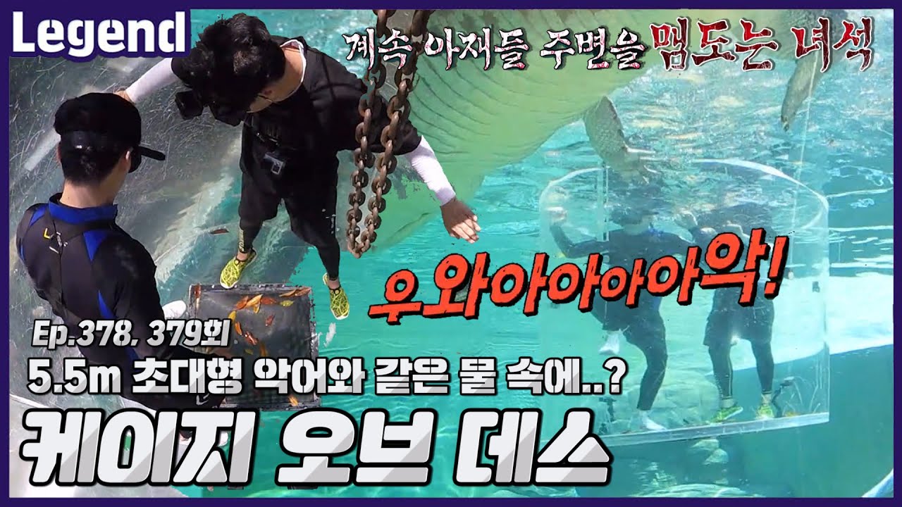 케이지오브데스