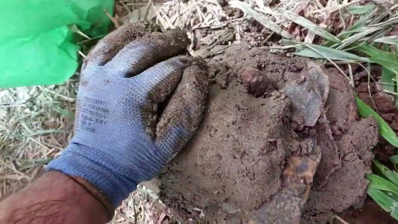 6 técnicas mais sustentáveis para a vida na natureza