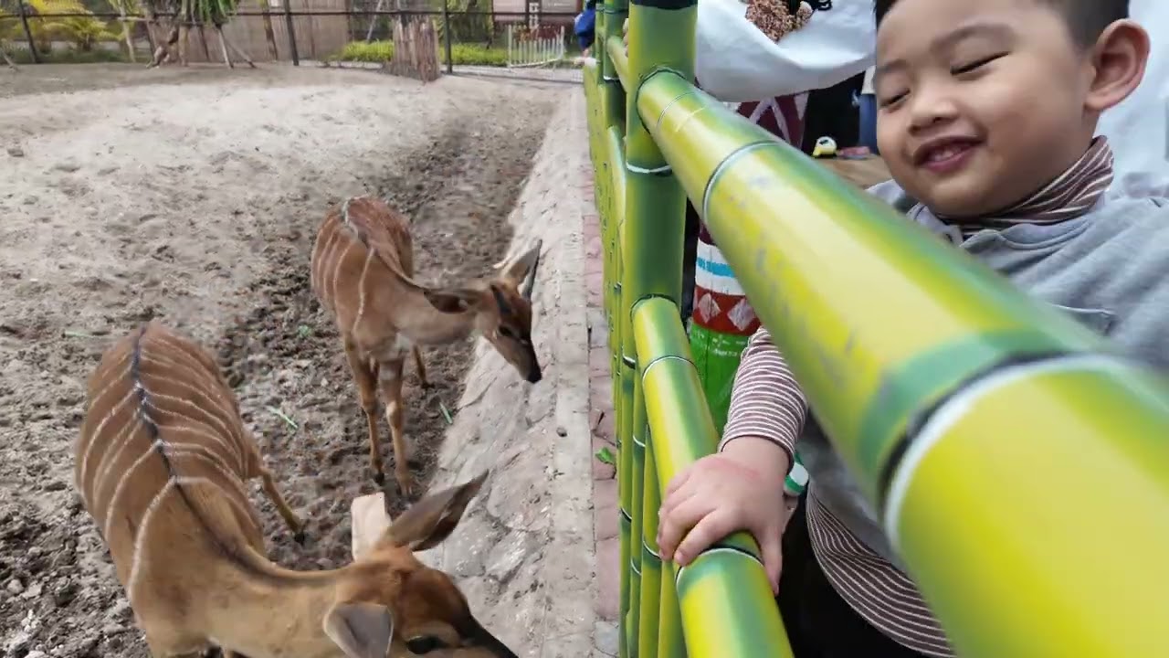 Vinpearl Vũ Yên Hải Phòng