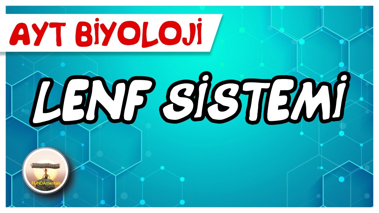 AYT Biyoloji | Lenf Sistemi #sayfa86