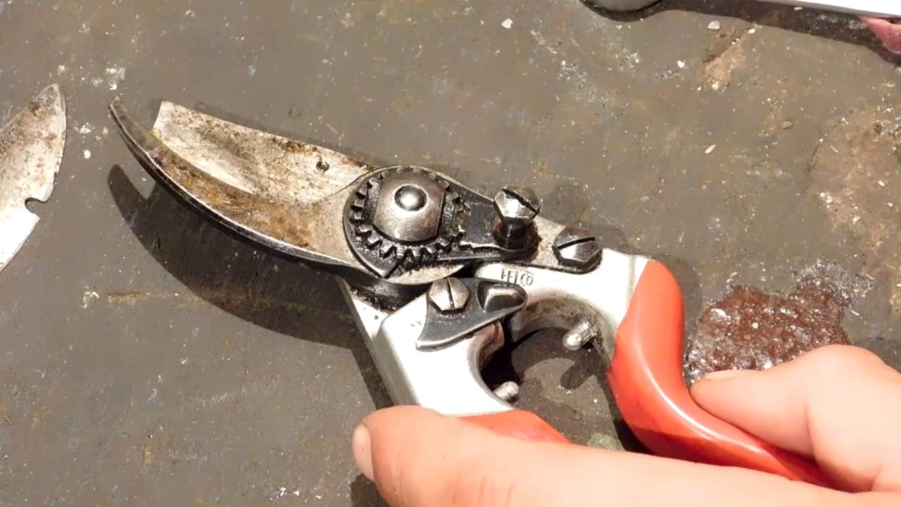 Ремонт Секатора Felco 8